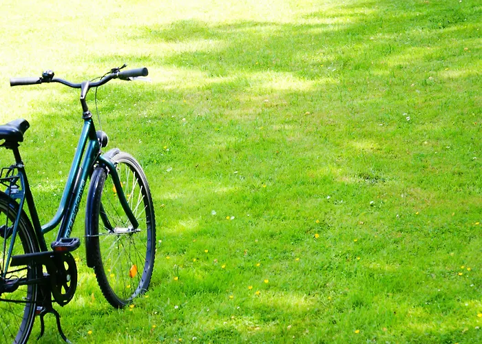 圣迈克尔海姆酒店 酒店 柏林